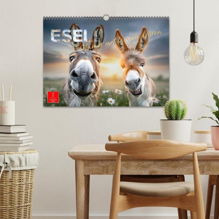 Produktbild: Esel - Humor mit langen Ohren (Wandkalender 2027 DIN A3 quer), CALVENDO Monatskalender