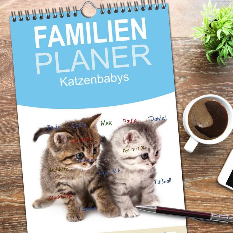 Produktbild: Familienplaner 2026 - Katzenbabys mit 5 Spalten (Wandkalender, 21 x 45 cm) CALVENDO