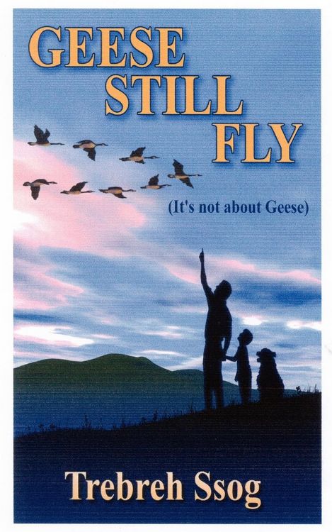 Produktbild: Geese Still Fly