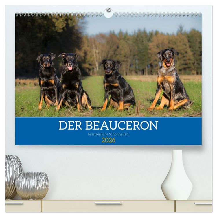 Produktbild: Der Beauceron (hochwertiger Premium Wandkalender 2026 DIN A2 quer), Kunstdruck in Hochglanz