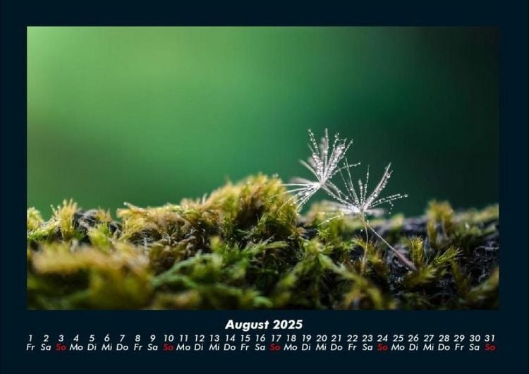 Produktbild: Bilder aus der Natur 2025 Fotokalender DIN A4