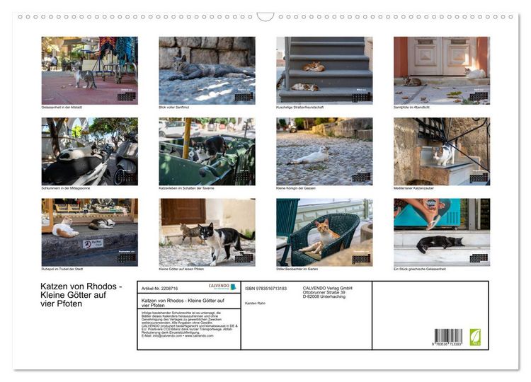 Produktbild: Katzen von Rhodos - Kleine G&ouml;tter auf vier Pfoten (Wandkalender 2026 DIN A2 quer), CALVENDO Monatskalender