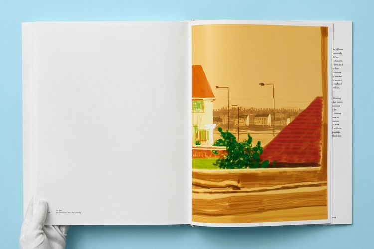 Produktbild: David Hockney
