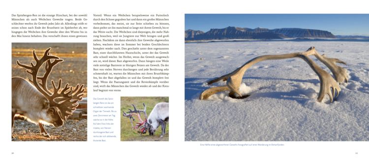 Produktbild: Spitzbergen