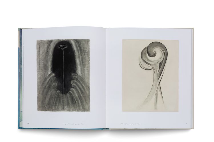 Produktbild: Georgia O'Keeffe