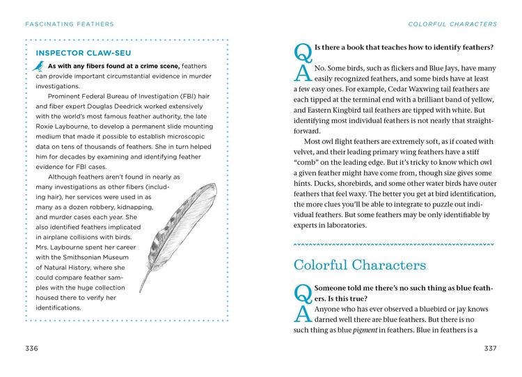 Produktbild: The Bird Watching Answer Book