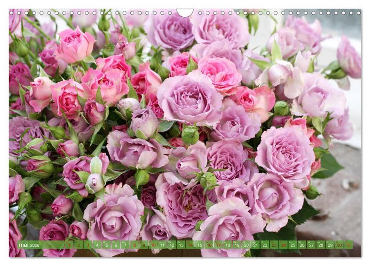 Produktbild: Le moment des roses (Calendrier mural 2026 DIN A3 vertical), CALVENDO calendrier mensuel