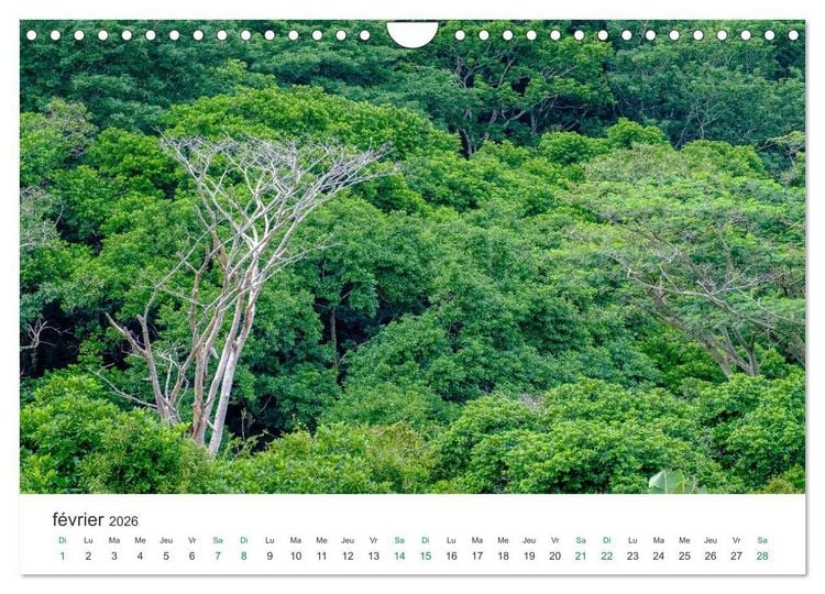 Produktbild: Magnifique &icirc;le Maurice (Calendrier mural 2026 DIN A4 vertical), CALVENDO calendrier mensuel