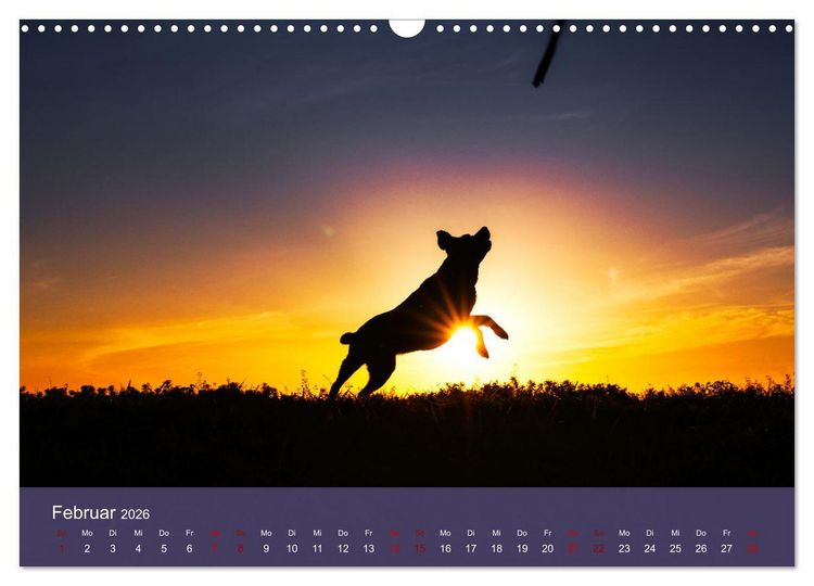 Produktbild: Retriever - Mit DIR hol ich die Sterne vom Himmel (Wandkalender 2026 DIN A3 quer), CALVENDO Monatskalender