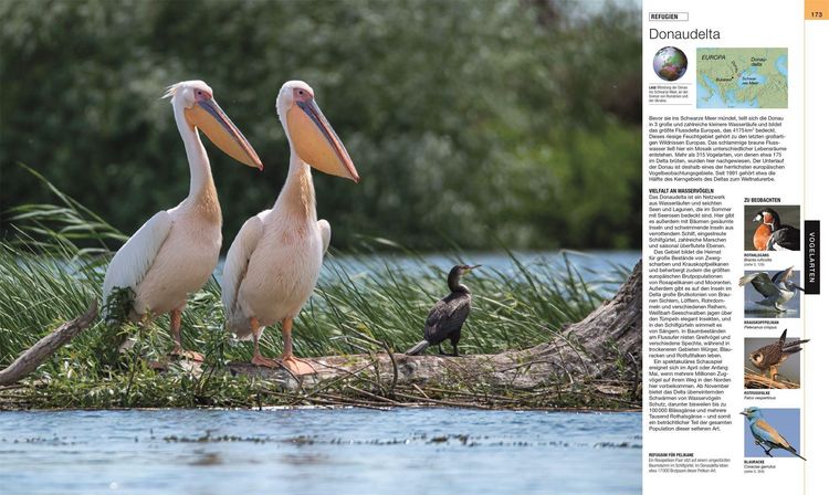 Produktbild: V&ouml;gel