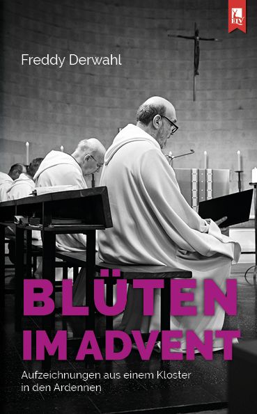 Produktbild: Bl&uuml;ten im Advent