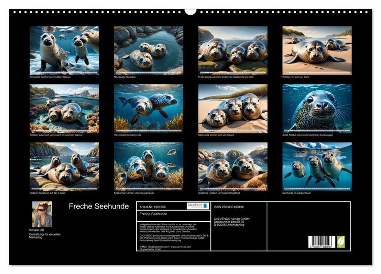 Produktbild: Freche Seehunde (Wandkalender 2026 DIN A2 quer), CALVENDO Monatskalender