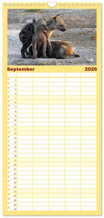 Produktbild: Familienplaner 2026 - Wildes Kinderzimmer - Tierkinder in Afrika mit 5 Spalten (Wandkalender, 21 x 45 cm) CALVENDO