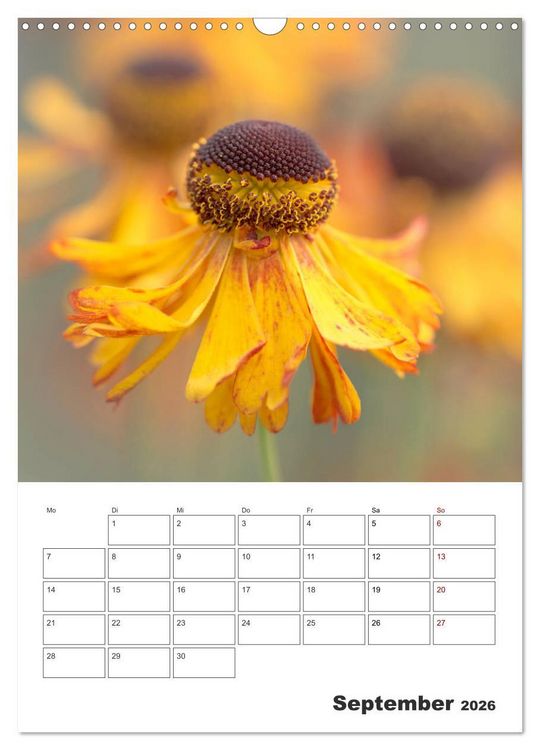 Produktbild: Farbiger Bl&uuml;tentraum (Wandkalender 2026 DIN A3 hoch), CALVENDO Monatskalender