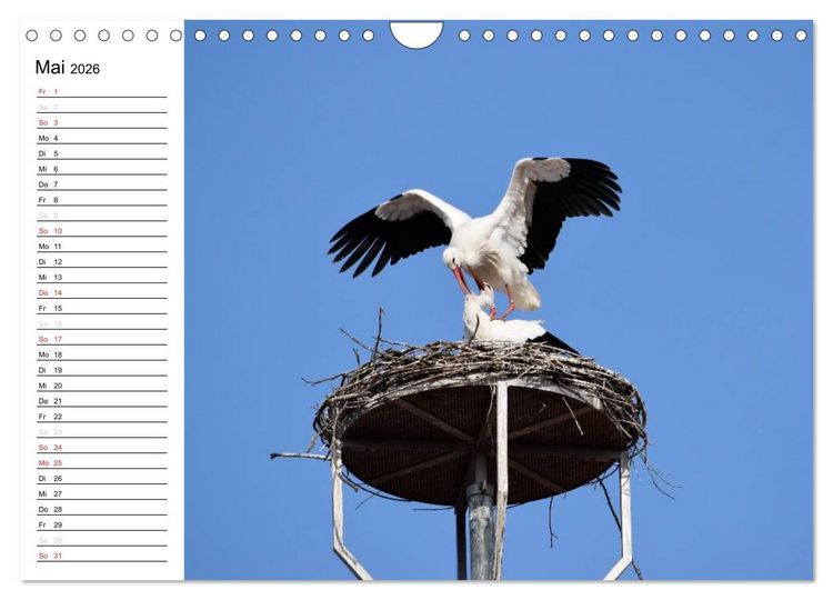 Produktbild: Crailsheim - Stimmungsvolle Momente (Wandkalender 2026 DIN A4 quer), CALVENDO Monatskalender