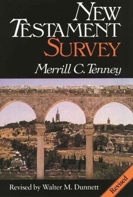 Produktbild: New Testament Survey