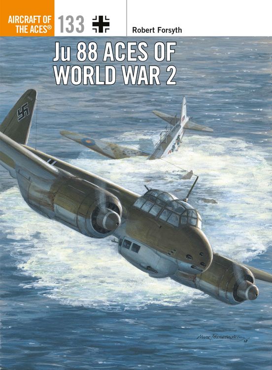 Produktbild: Ju 88 Aces of World War 2