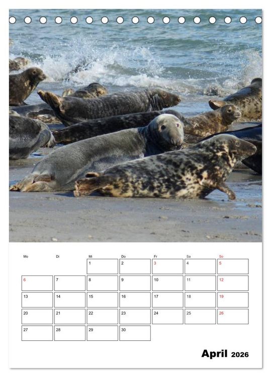 Produktbild: Einzigartige Insel Helgoland (Tischkalender 2026 DIN A5 hoch), CALVENDO Monatskalender