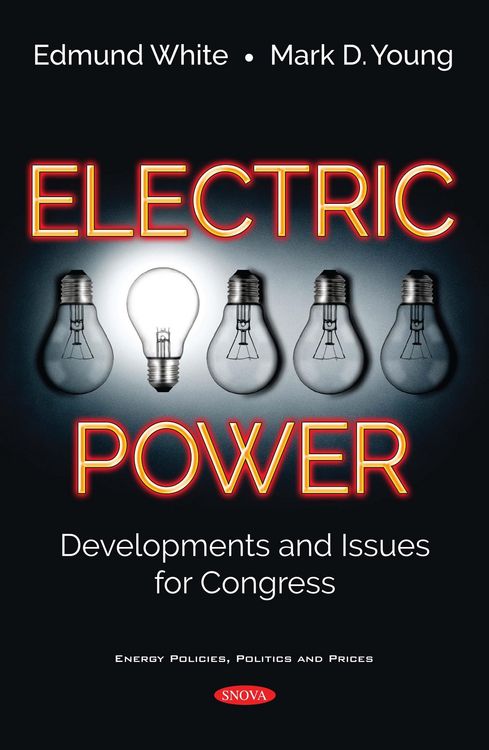 Produktbild: Electric Power: Developments and Issues for Congress