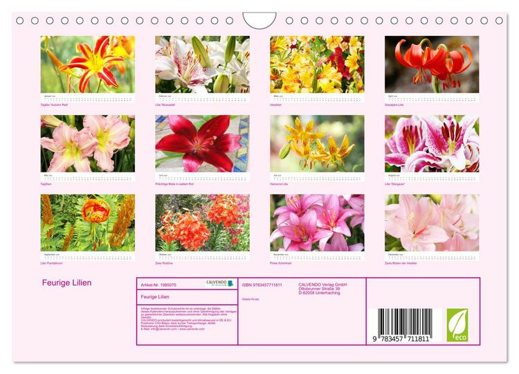 Produktbild: Feurige Lilien (Wandkalender 2026 DIN A4 quer), CALVENDO Monatskalender