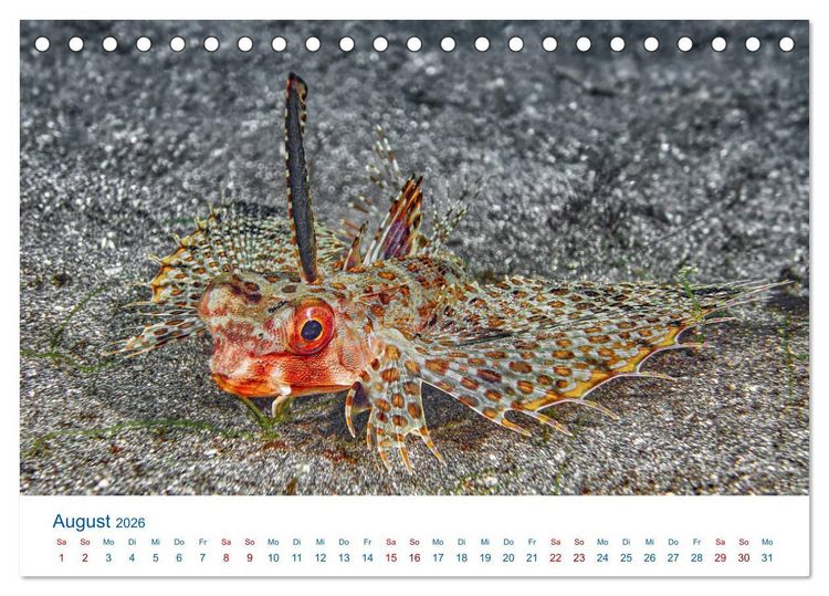 Produktbild: Die Farben im Meer (Tischkalender 2026 DIN A5 quer), CALVENDO Monatskalender