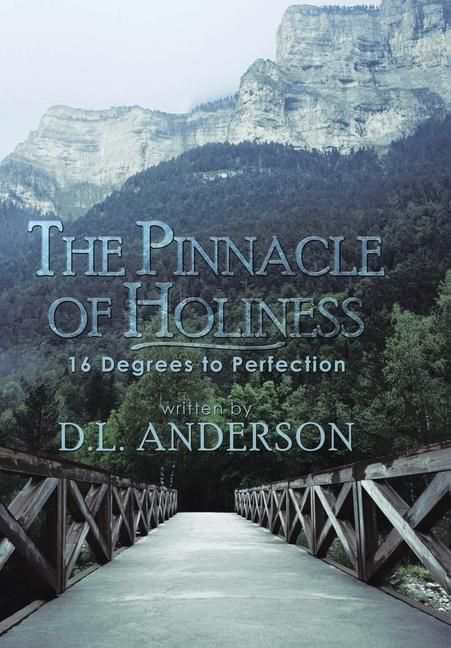 Produktbild: The Pinnacle of Holiness