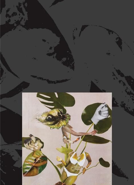 Produktbild: Kandis Williams: A Surface