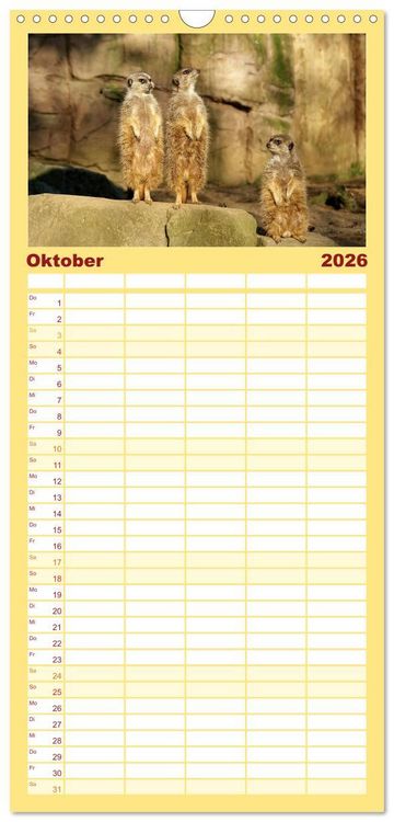 Produktbild: Familienplaner 2026 - Erdm&auml;nnchen - Zusammen sind wir stark mit 5 Spalten (Wandkalender, 21 x 45 cm) CALVENDO