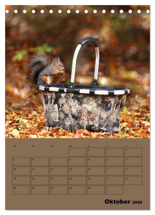 Produktbild: Eichh&ouml;rnchen - Planer (Tischkalender 2026 DIN A5 hoch), CALVENDO Monatskalender