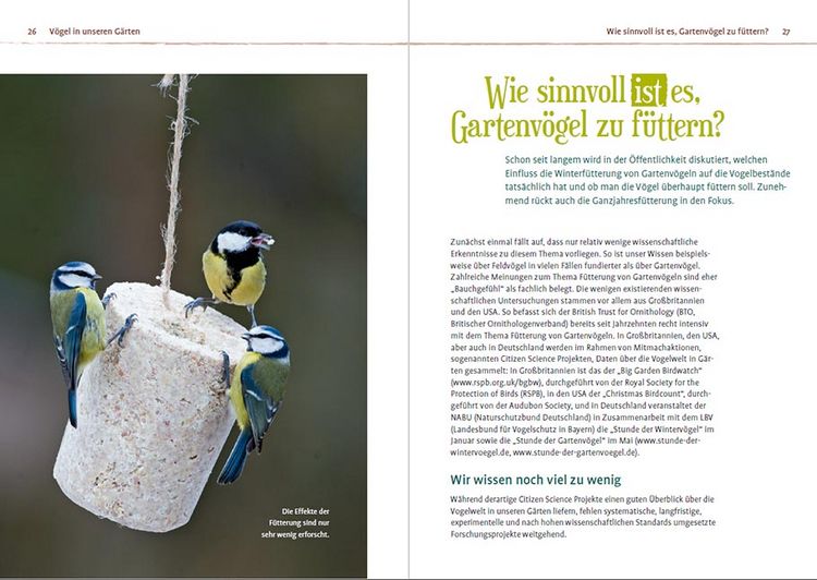 Produktbild: V&ouml;gel f&uuml;ttern im Garten