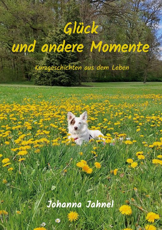 Produktbild: Gl&uuml;ck und andere Momente