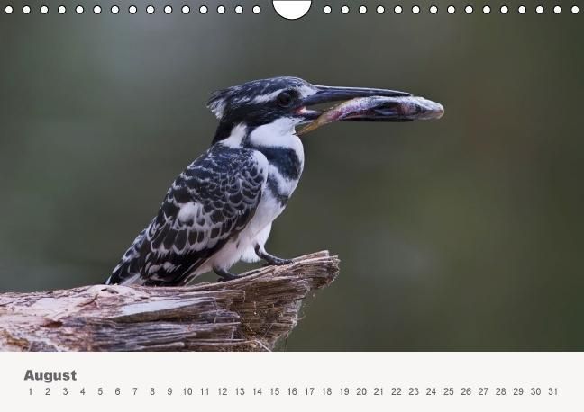 Produktbild: Faszination Ostafrika - Tierwelt und Natur aus Kenia und Tansania (Wandkalender immerw&auml;hrend DIN A4 quer)