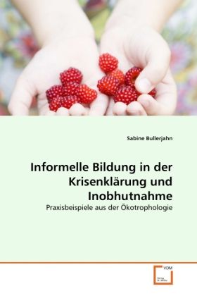 Produktbild: Bullerjahn, S: Informelle Bildung in der Krisenkl&auml;rung und I