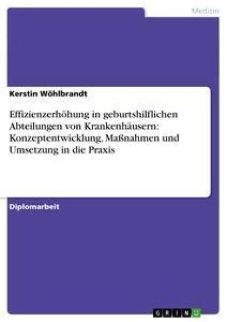 Produktbild: Effizienzerh&ouml;hung in geburtshilflichen Abteilungen von Krankenh&auml;usern: Konzeptentwicklung, Ma&szlig;nahmen und Umsetzung in die Praxis