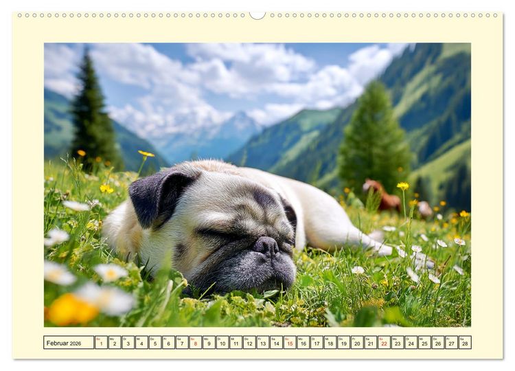 Produktbild: Mops trifft Berglust. Fidele Gipfelst&uuml;rmer im H&ouml;henrausch (hochwertiger Premium Wandkalender 2026 DIN A2 quer), Kunstdruck in Hochglanz