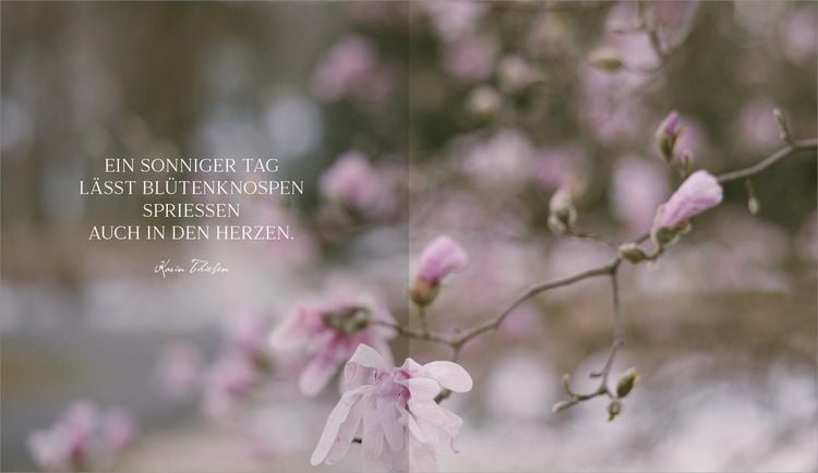 Produktbild: Der Geschmack von Frühling