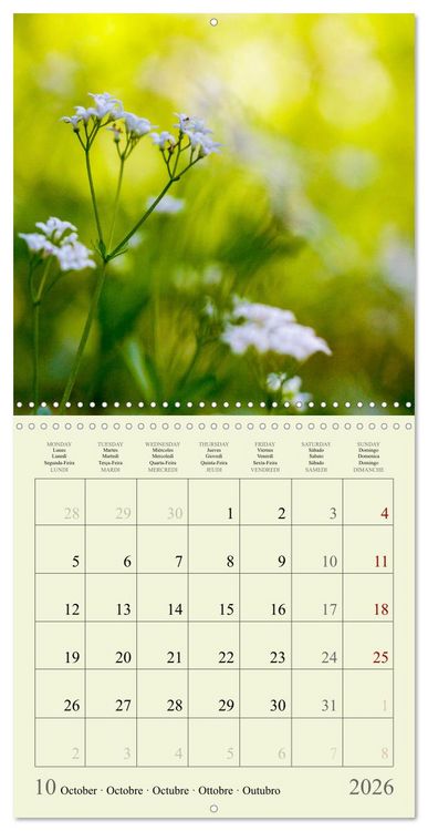 Produktbild: Fleurs du pays des r&ecirc;ves (Calendrier mural carr&eacute; 2026 30x30 cm) Calendrier double avec une page pour vos prises de notes