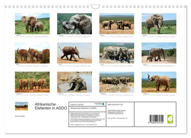 Produktbild: Afrikanische Elefanten in ADDO (Wandkalender 2026 DIN A3 quer), CALVENDO Monatskalender