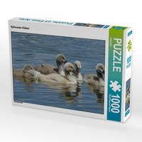 Produktbild: CALVENDO Puzzle Schwanen K&uuml;ken 1000 Teile Lege-Gr&ouml;&szlig;e 64 x 48 cm Foto-Puzzle Bild von Kattobello