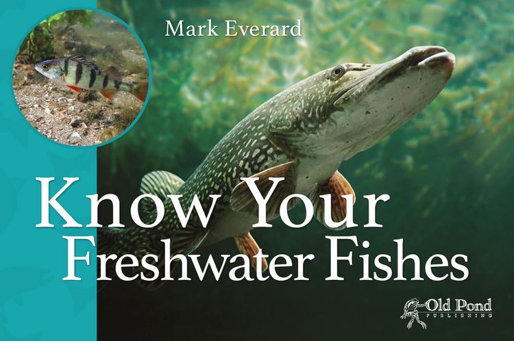 Produktbild: Know Your Freshwater Fishes