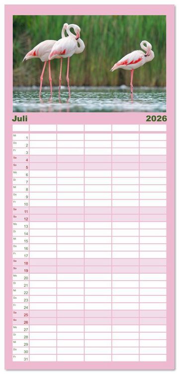 Produktbild: Familienplaner 2026 - The Power Of Pink mit 5 Spalten (Wandkalender, 21 x 45 cm) CALVENDO