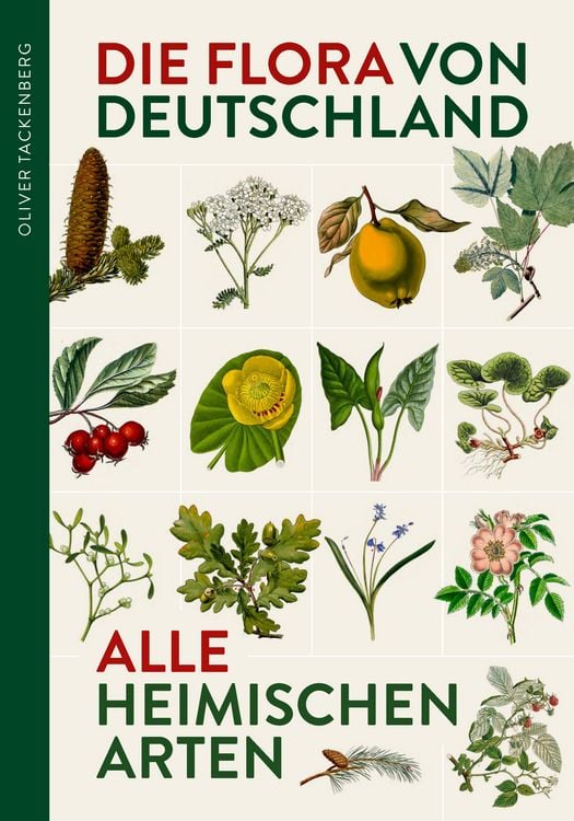 Produktbild: Die Flora von Deutschland. Alle heimischen Arten