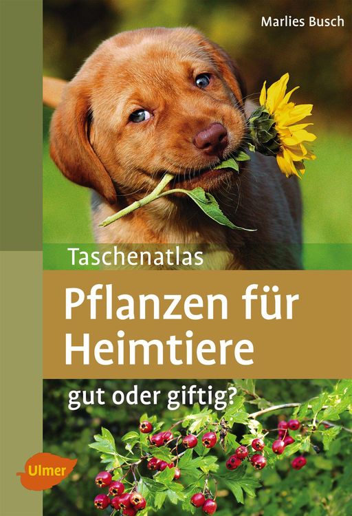 Bild vom Artikel Pflanzen für Heimtiere vom Autor Marlies Busch
