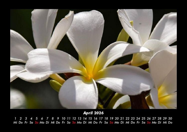Produktbild: Indonesien 2026 Fotokalender DIN A3