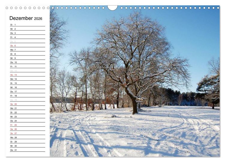 Produktbild: Vier Jahreszeiten im Land Brandenburg (Wandkalender 2026 DIN A3 quer), CALVENDO Monatskalender