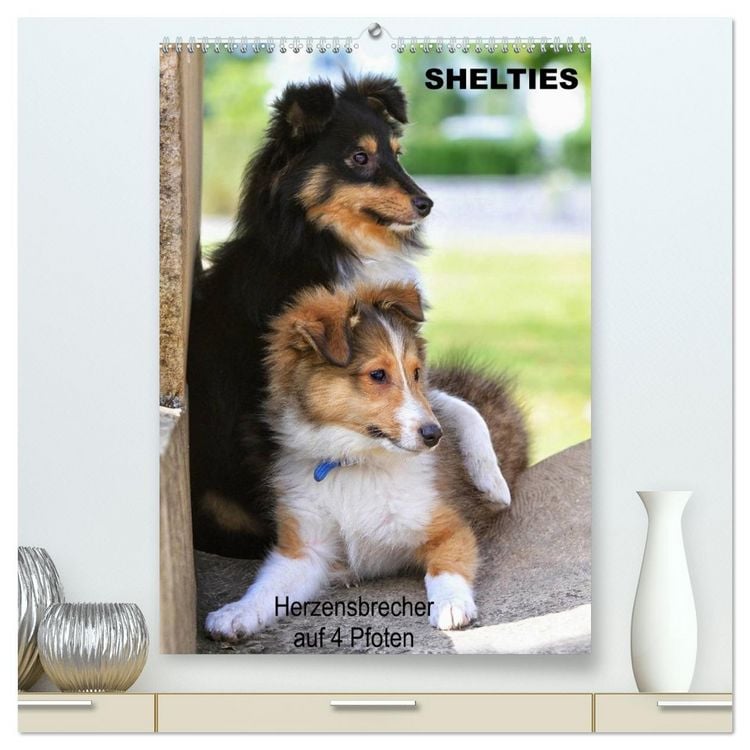 Produktbild: SHELTIES Herzensbrecher auf 4 Pfoten (hochwertiger Premium Wandkalender 2026 DIN A2 hoch), Kunstdruck in Hochglanz