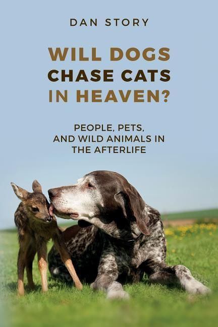 Produktbild: Will Dogs Chase Cats in Heaven?: People, Pets, and Wild Animals in the Afterlife