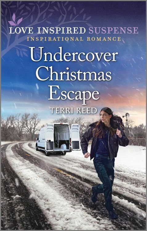 Produktbild: Undercover Christmas Escape