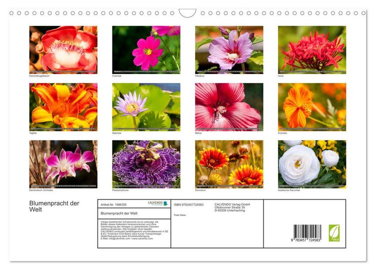 Produktbild: Blumenpracht der Welt (Wandkalender 2026 DIN A3 quer), CALVENDO Monatskalender