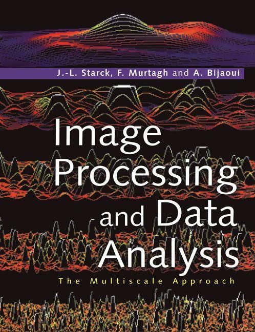 Produktbild: Image Processing and Data Analysis